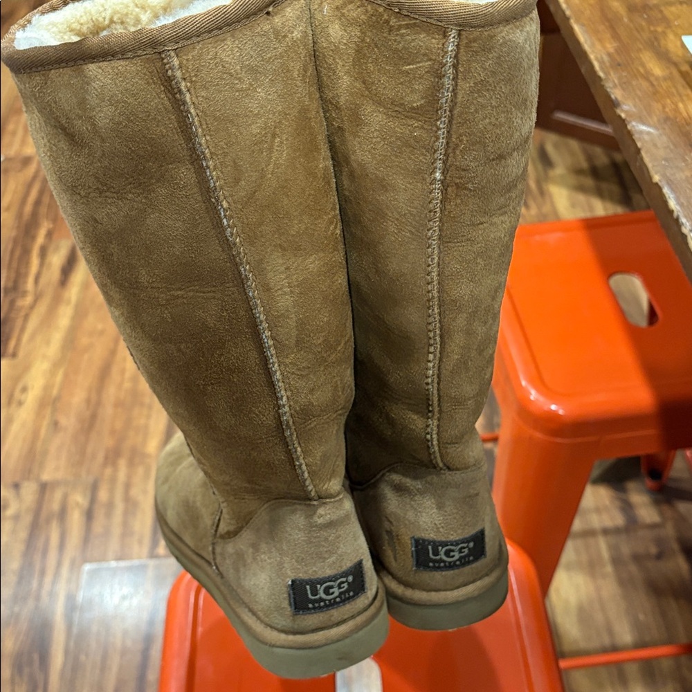 UGG Chestnut Shearling Boots - image 4